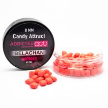  Addicted Carp Baits Candy Attract wafters Belachan