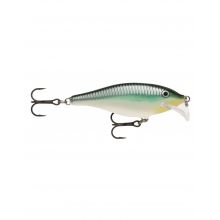 SCATTER RAP SHAD SCRS05 BBH