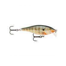 SCATTER RAP SHAD SCRS05 BG