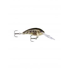 SHAD DANCER SDD04 SCPL