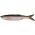 Shad Savage Gear SAVAGE GEAR F1.SG.50446