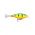 SHALLOW SHAD RAP SSR05 FP